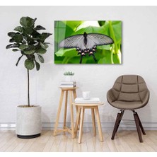 Idealizbiz Yeşil Cam Tablo 4mm Dayanıklı Temperli Cam