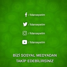 Fidan Sepetim 5 Yaş Aşılı Hachiya Trabzon Hurması Fidanı *çikolatalı*