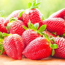 Yediveren Hızlı Yetişen Çilek TOHUMU-200 Tohum