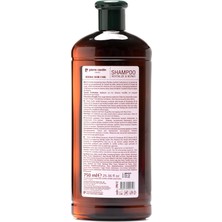 Pierre Cardin Herbal Onarıcı Ve Canlandırıcı Etkili Bitkisel Şampuan 750 Ml