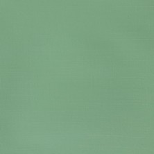 Winsor & Newton N:435 Galeria Akrilik Boya 120 ml Pale Olive