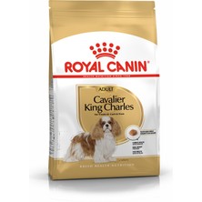 Royal Canin Cavalier King Charles Irka Özel Yetişkin Köpek Maması 1,5 kg