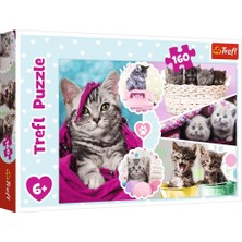 Trefl Puzzle Trefl Çoçuk Puzzle Lovely Kittens 160 Parça Puzzle