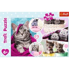 Trefl Puzzle Trefl Çoçuk Puzzle Lovely Kittens 160 Parça Puzzle