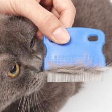 Aydınlı 4 Lü Kedi Oyun Seti Kedi Oyuncak