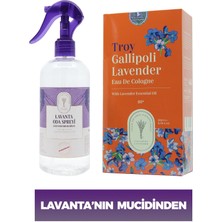 Dr. Lavender 260 ml Lavanta Kolonyası Cam Şişe + Lavanta Oda Spreyi 400 ml