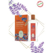 Dr. Lavender 260 ml Lavanta Kolonyası Cam Şişe + Lavanta Oda Spreyi 400 ml