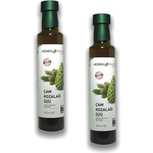 Herbal Palace Çam Kozalağı Özü Şurubu 350 ml x 2