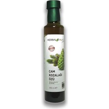 Herbal Palace Çam Kozalağı Özü Şurubu 350 ml x 2