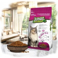 Jungle Somonlu Yetişkin Kısır Kedi Maması 500 gr