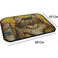 Flip Pet Resimli Lux Kedi Kumu Toplama Paspası 60*45 cm