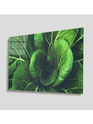 Idealizbiz Yeşil Cam Tablo 4mm Dayanıklı Temperli Cam