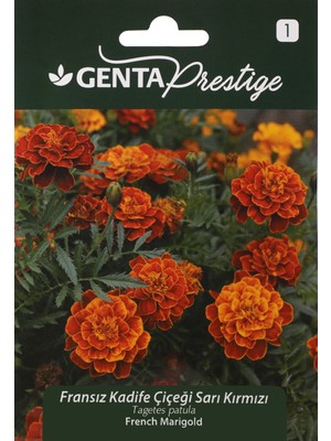 Genta Çiçek Tohumu Fransız Kadife Çiçeği Sarı Kırmızı Genta Prestige