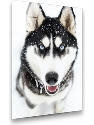 Glass Art Kurt Dikey Cam Tablo