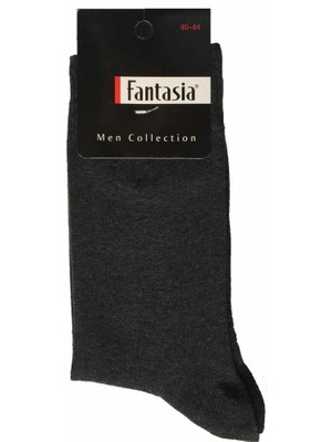 Şirin Fantasia Men Collection Erkek Çorap (40-44)