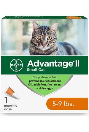 Advantage Multi Kedi Damlasi