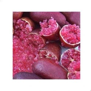 Reyon 5 Yaş Aşılı Finger Lime Mıa Rose, Torbada