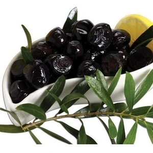 Reyon 5 Yaş Aşılı Trilye (Gemlik) Zeytin Fidanı, Torbada