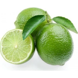 Reyon 3 Yaş Aşılı Meksika Misket Limon Fidanı, Torbada