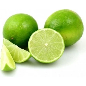 Reyon 5 Yaş Aşılı Lima Verde Tatlı Lime Limon Fidanı, Torbada
