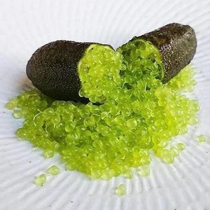 Reyon 5 Yaş Aşılı Finger Lime Collette, Torbada