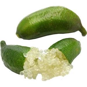 Reyon 6 Yaş Aşılı Finger Lime Parmak Limon Fidanı, Torbada