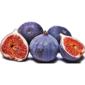 Reyon 2 Yaş Bursa Siyahı Incir Fidanı, Torbada