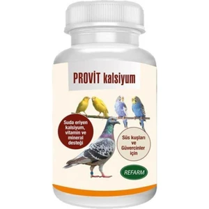 Provit Kalsiyum Vitamin 100 gr
