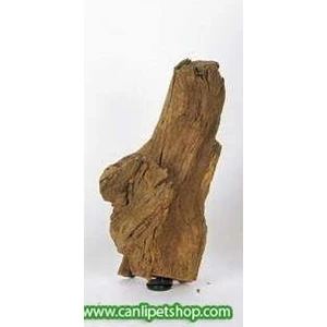 Canlı Petshop Mango Kökü Küçük 15 - 20 cm