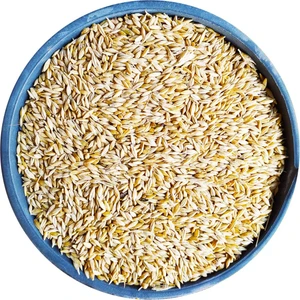 Bizim Yem Tüm Arpa - 5 kg Tavuk Yemi Yemlik Arpa Kanatlı Yemi Kaz Ördek Yemi Kuş Yemi