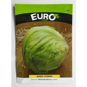 Iceberg Marul Tohumu