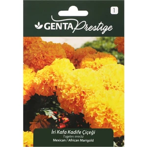 Çiçek Tohumu Iri Kafa Kadife Çiçeği Genta Prestige