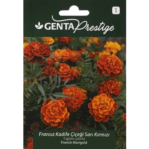 Çiçek Tohumu Fransız Kadife Çiçeği Sarı Kırmızı Genta Prestige