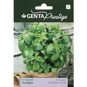 Sebze Tohumu Iri Yapraklı Fesleğen Genta Prestige