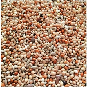 Ugy Store Muhabbet Kuşu Yem 1 kg