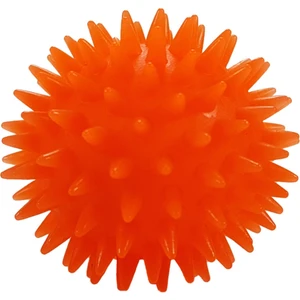 Top Dikenli Düdüklü