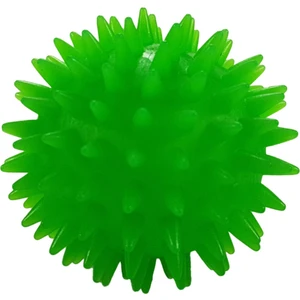 Top Dikenli Düdüklü