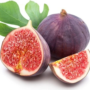 Fidan Sepetim 4 Yaş Bursa Dürdane Incir Fidanı