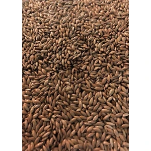 Aspur 1 kg