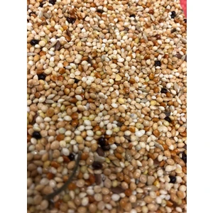 Kafes Kuşu Yemi 1kg