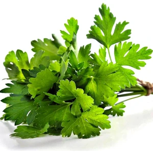 Geniş Yapraklı Maydanoz Tohumu-25 Gram