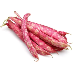 Sırık Bol Dökümlü Barbunya Tohumu-50 Gram