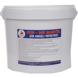 Dks Ms Mastik - Şeffaf Izolasyon Malzemesi 10 kg