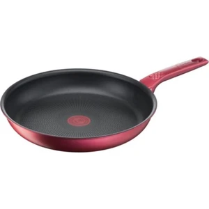 Titanyum 2x Dailychef 24 cm Indüksiyon Tabanlı Tava - 2100118310