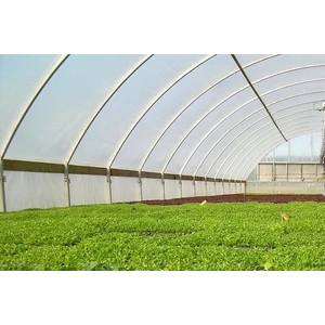 6m x 2m Sera Brandası 36 Aylık 350 Mikron Eva Uv Katkılı Sera Naylonu Kalın Sera Örtüsü Naylonu