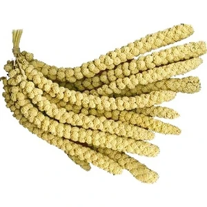 Sarı Dal Darı Protein Deposu Organik Kuş Yemi 1 kg