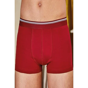 3 Adet Bordo Renk Likralı Boxer