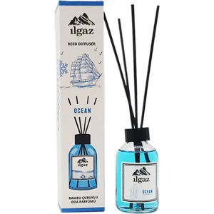 Okyanus Esintisi Oda Kokusu 110 ml Ocean Homme Parfum Ferahlatıcı Ortam Kokusu Kalıcı Parfümlü Ev Parfümü