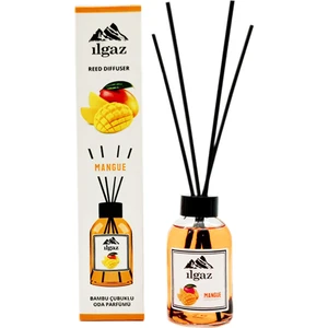 Reed Dıffuser 110 ml Mango Oda Kokusu Tropikal Oda Parfümü Bambu Çubuklu Oda Kokusu