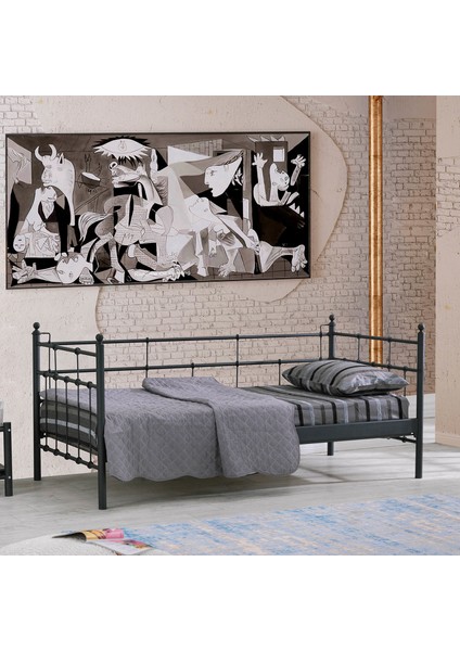 Lalas Daybed Tek Kişilik Sedir Divan Metal Karyola 90x200